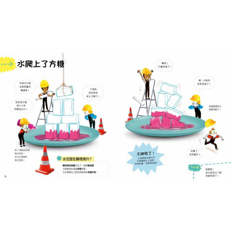 藏在糖裡的科學 